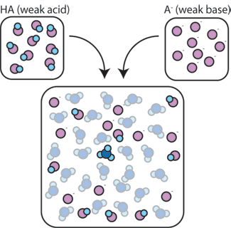 Weak Acids And Strong Acids diagram strong acid solution 