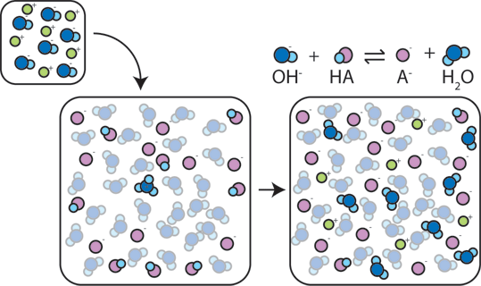 strong acid and conjugate base